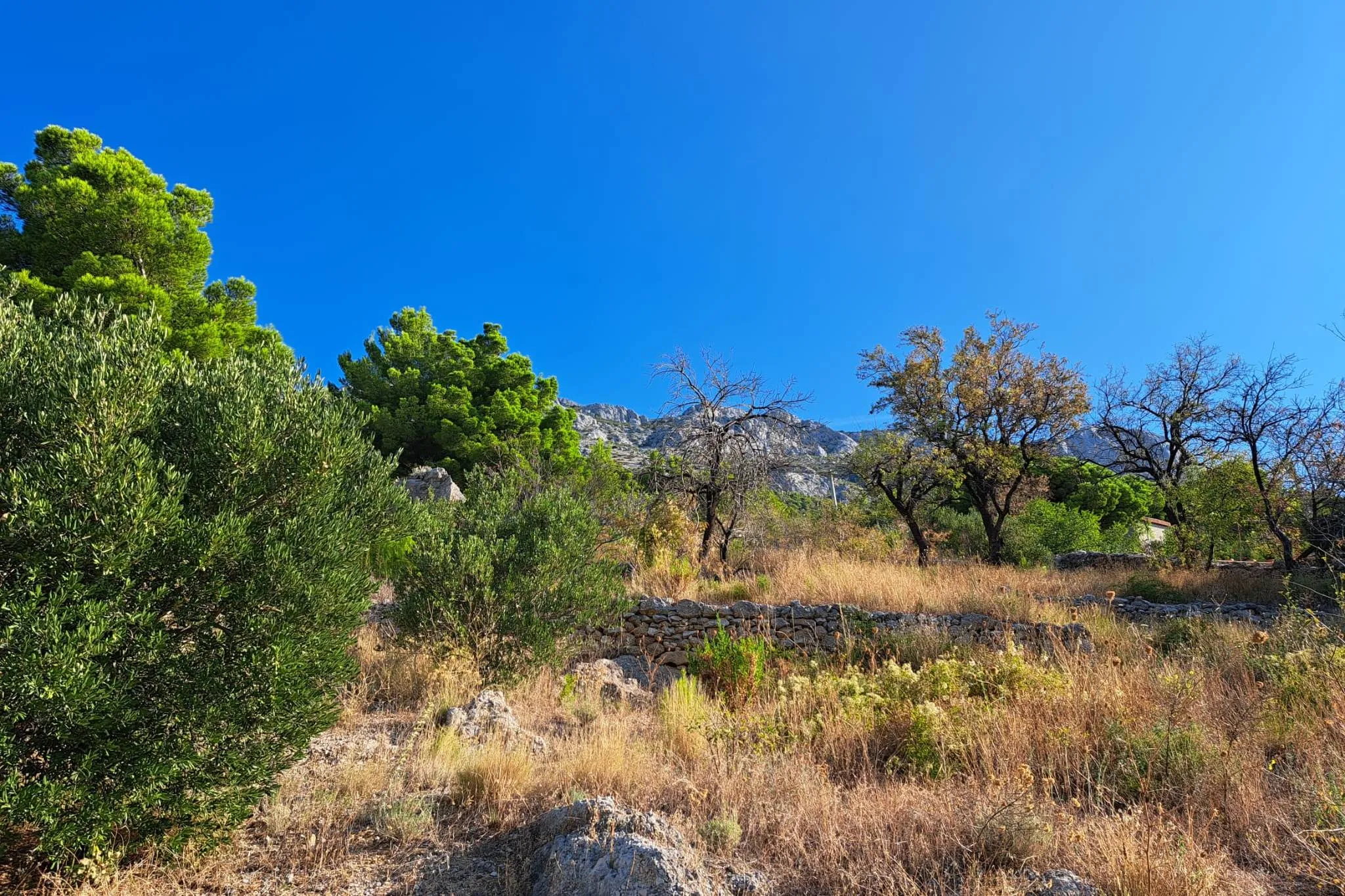 Marušići, Omiš, Seafront Plot – Photo 6