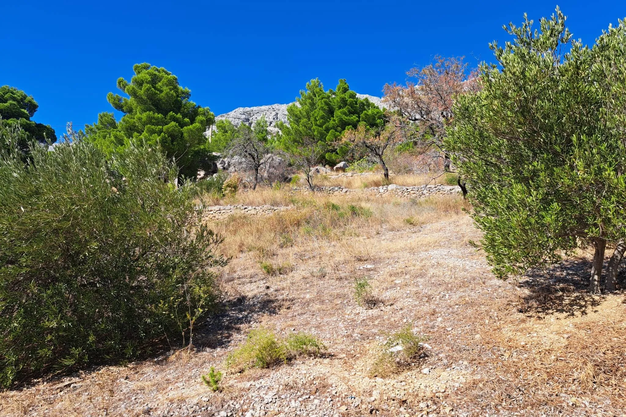 Marušići, Omiš, Seafront Plot – Photo 1