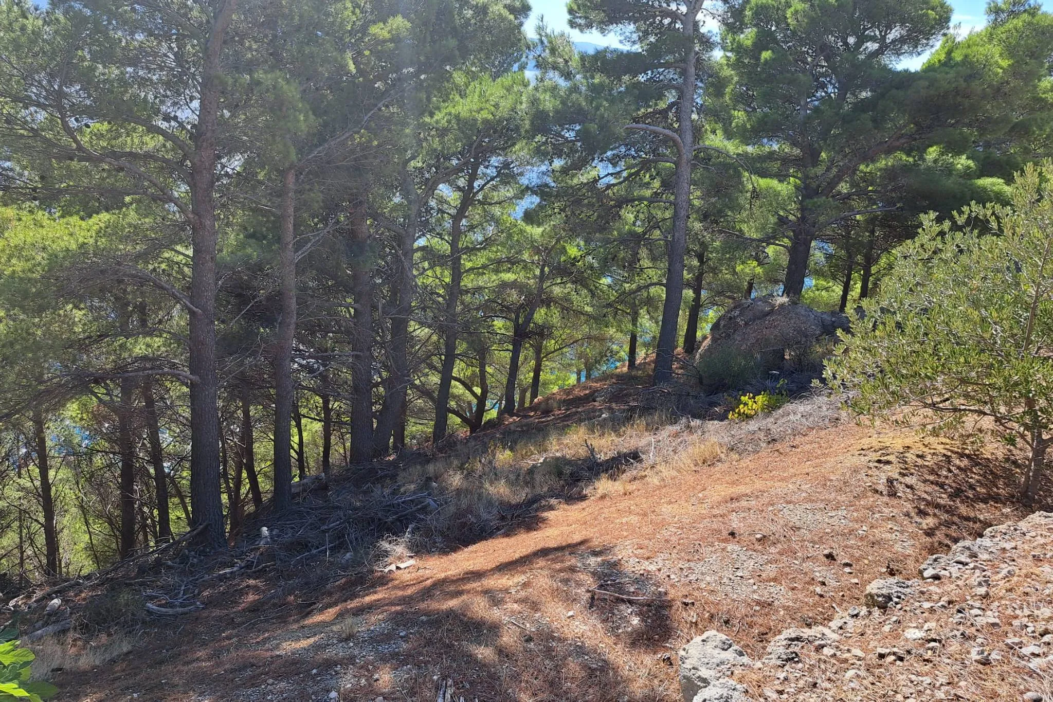 Marušići, Omiš, Seafront Plot – Photo 2