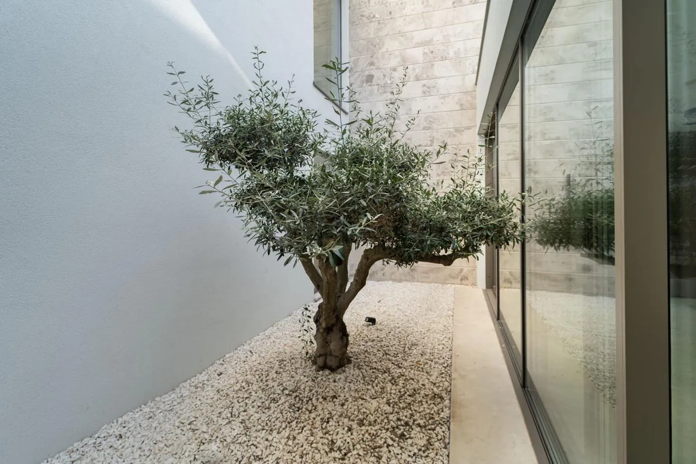 Villa Navis – A Private Coastal Sanctuary in Sevid – Photo 36