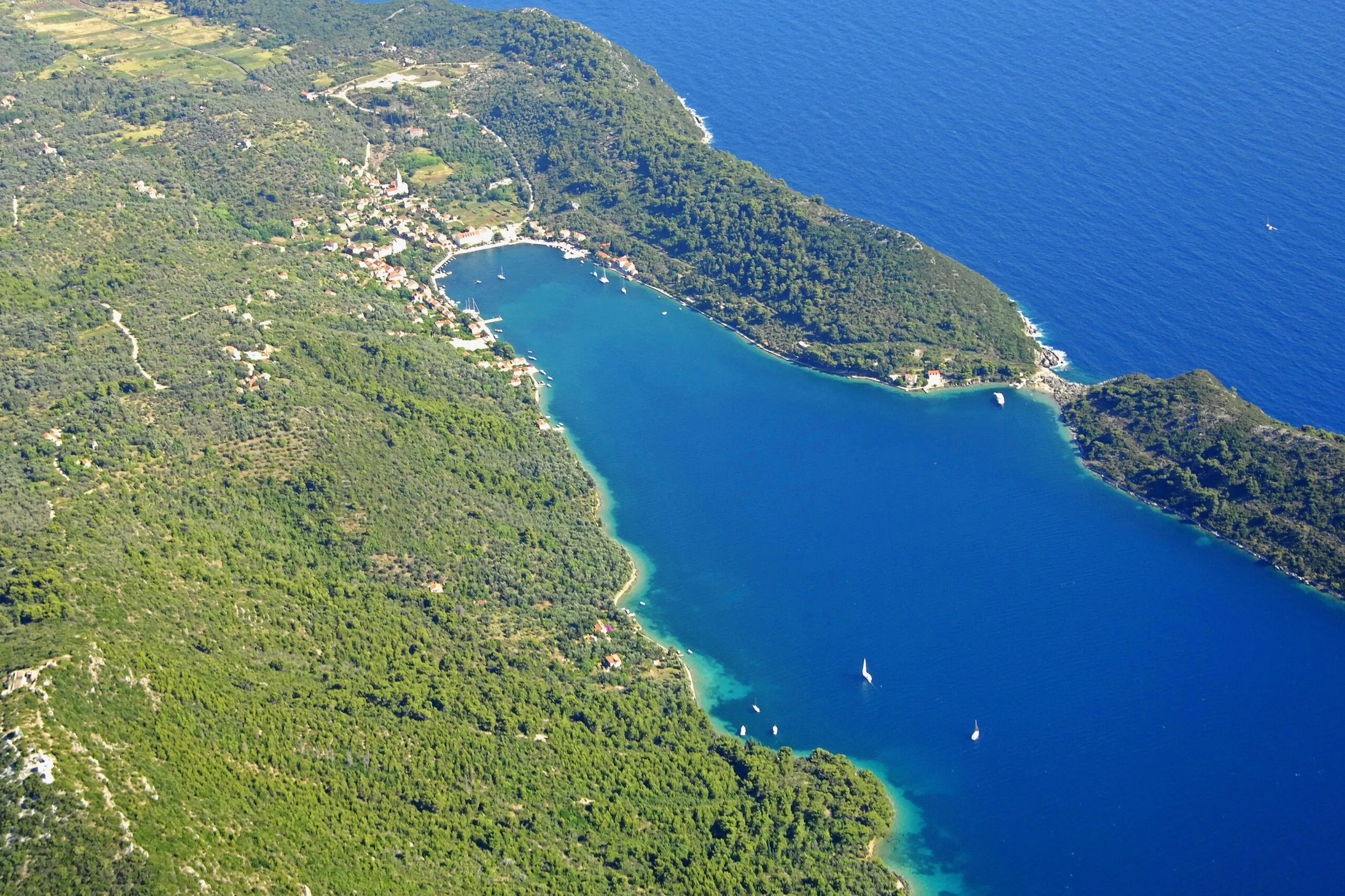 An Impressive 150 Seafront Hectares On šipan Island (Elafiti Islands, Dubrovnik) – Photo 2